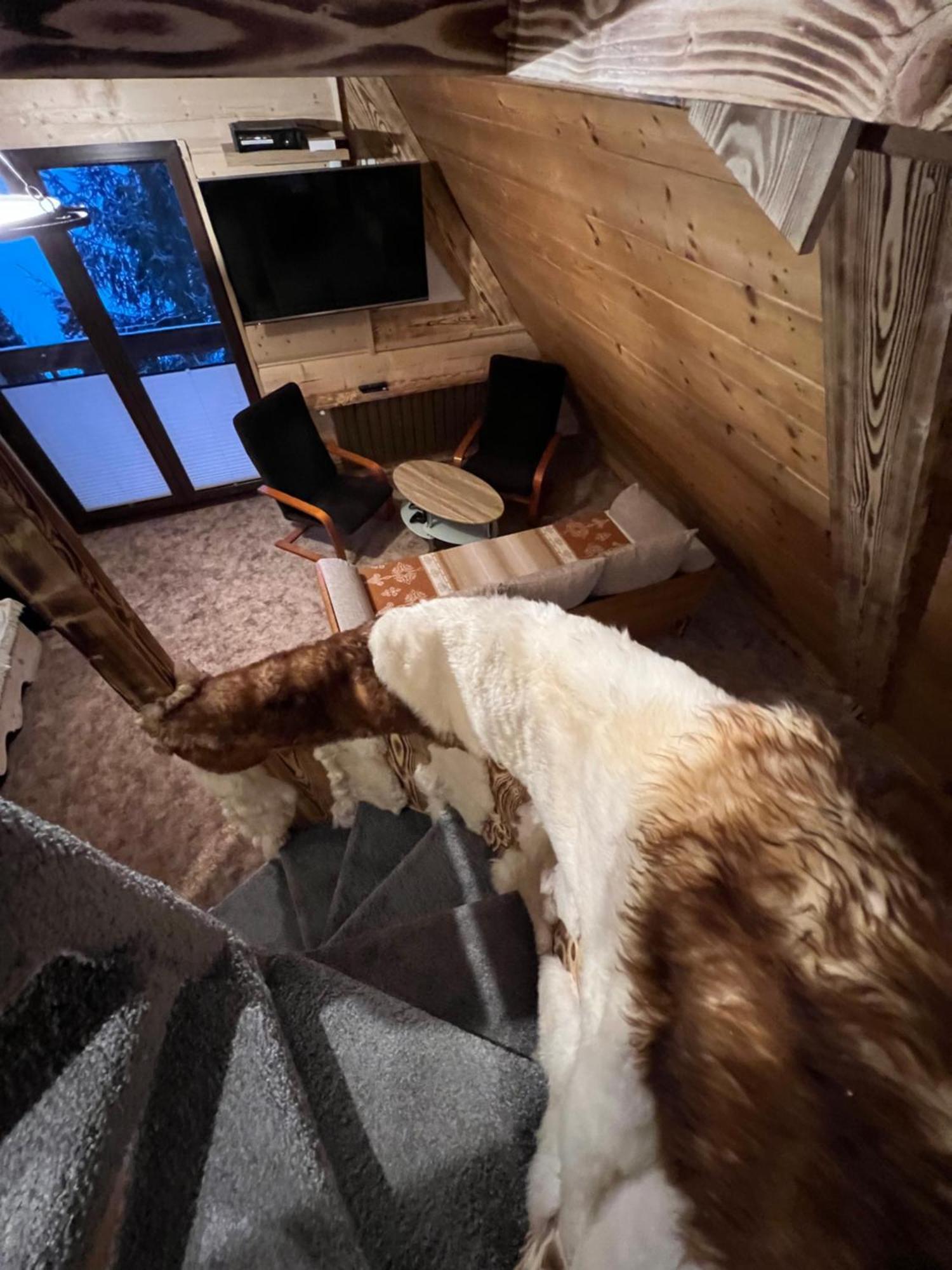 Apartamenty I Domki Taterka Kościelisko Exterior foto